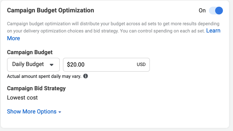 Facebook campaign budget optimization option