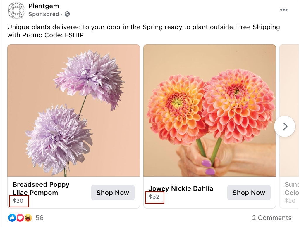 Facebook Ad from Plantgem showing different price points for a/b testing