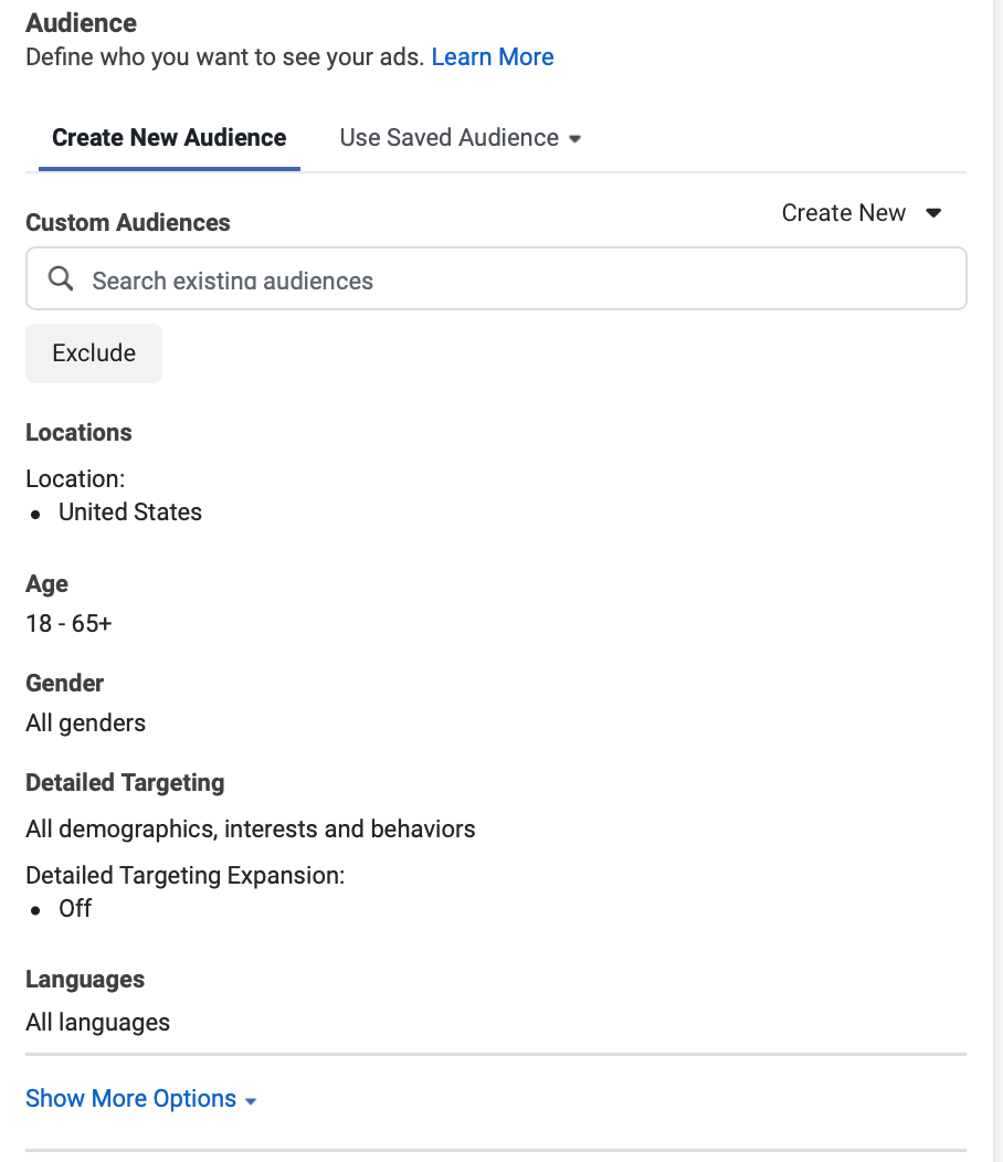 Audience targeting when creating Explore Ads