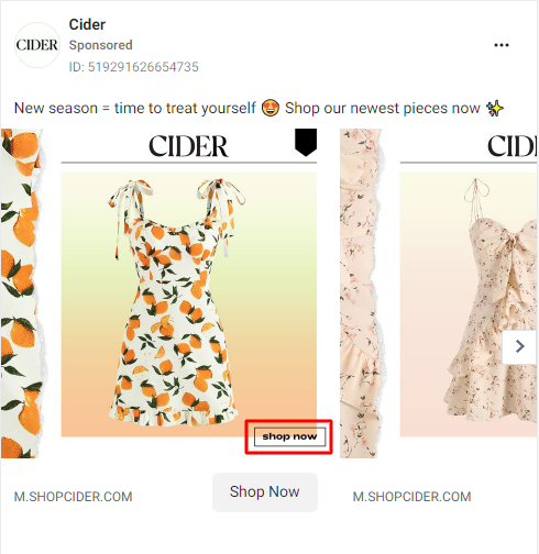 Instagram carousel ad example from clothing brand Cider