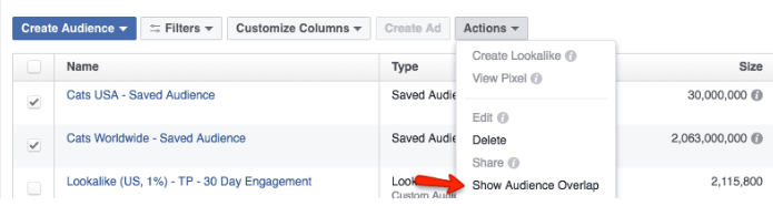 Showing Audience Overlap in Facebook Ads Manager